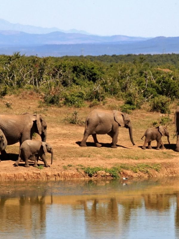 Spectacular South Africa